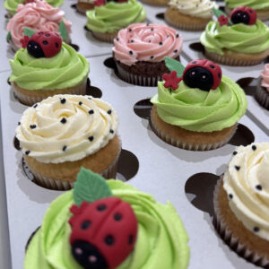 Ladybugs